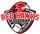 HAMBURG PIONEER RED HAWKS